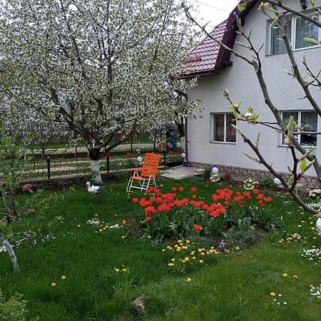 Casuta Bunicilor Villa Dorna Cindrenilor Bagian luar foto