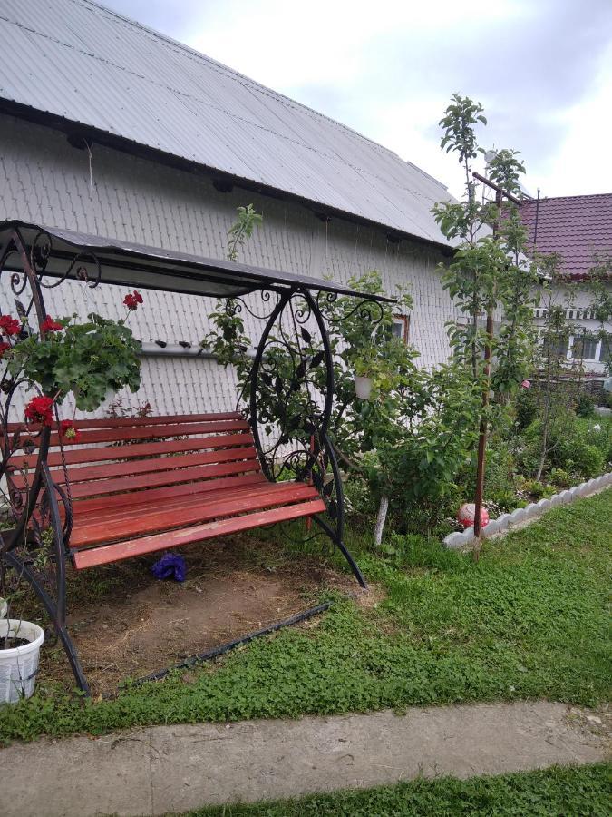 Casuta Bunicilor Villa Dorna Cindrenilor Bagian luar foto