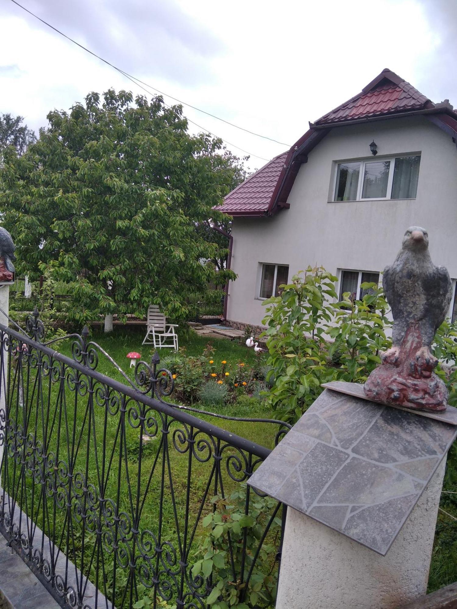 Casuta Bunicilor Villa Dorna Cindrenilor Bagian luar foto