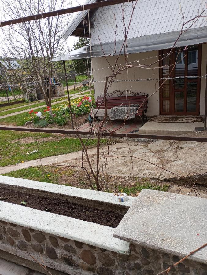 Casuta Bunicilor Villa Dorna Cindrenilor Bagian luar foto