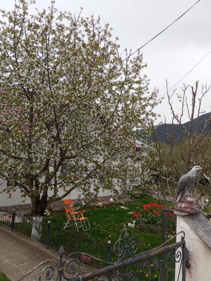 Casuta Bunicilor Villa Dorna Cindrenilor Bagian luar foto
