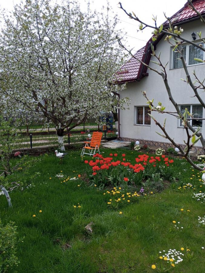 Casuta Bunicilor Villa Dorna Cindrenilor Bagian luar foto