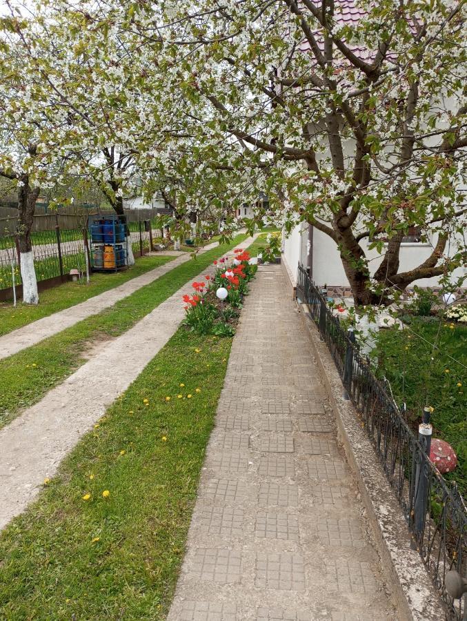 Casuta Bunicilor Villa Dorna Cindrenilor Bagian luar foto