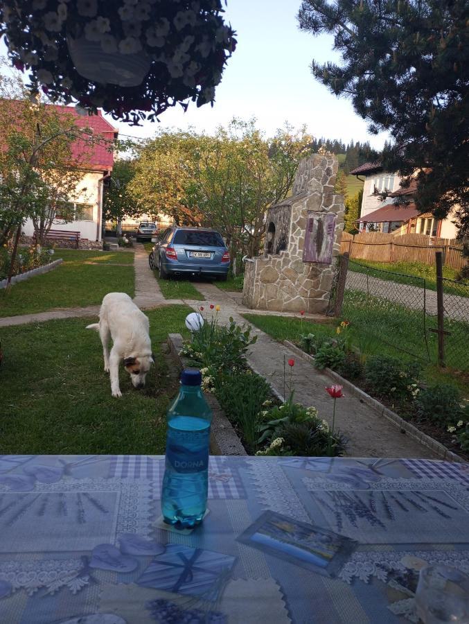 Casuta Bunicilor Villa Dorna Cindrenilor Bagian luar foto