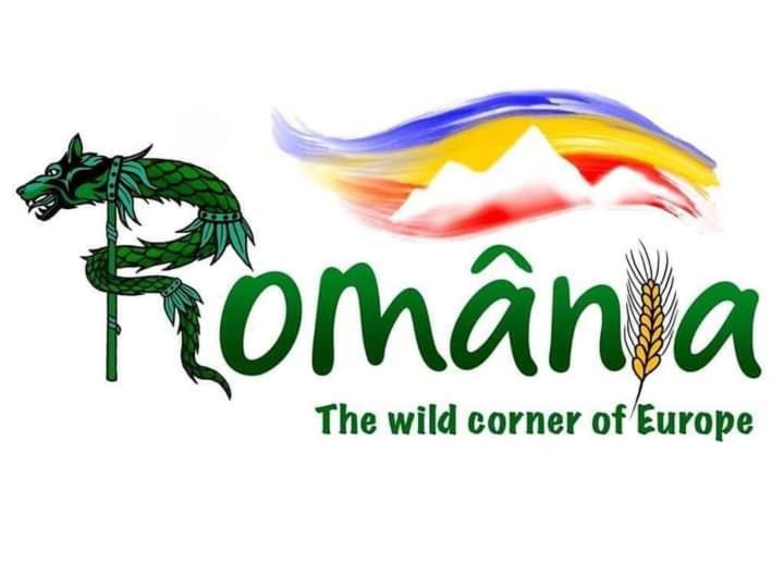 Casuta Bunicilor Villa Dorna Cindrenilor Bagian luar foto