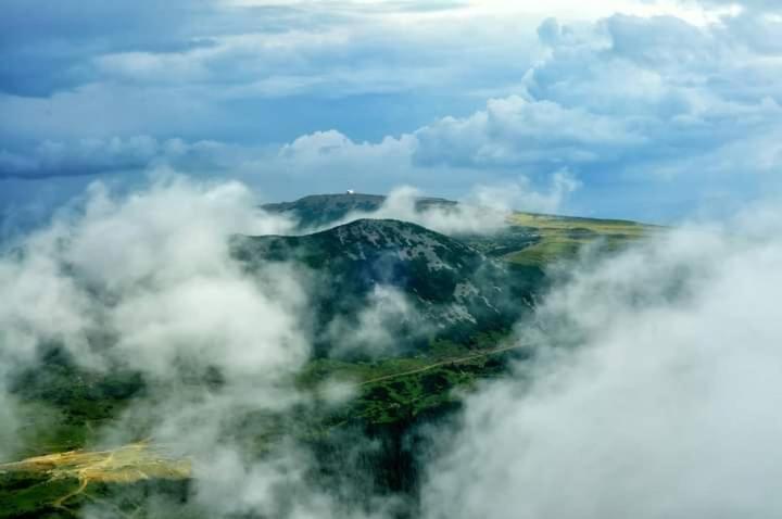 Casuta Bunicilor Villa Dorna Cindrenilor Bagian luar foto