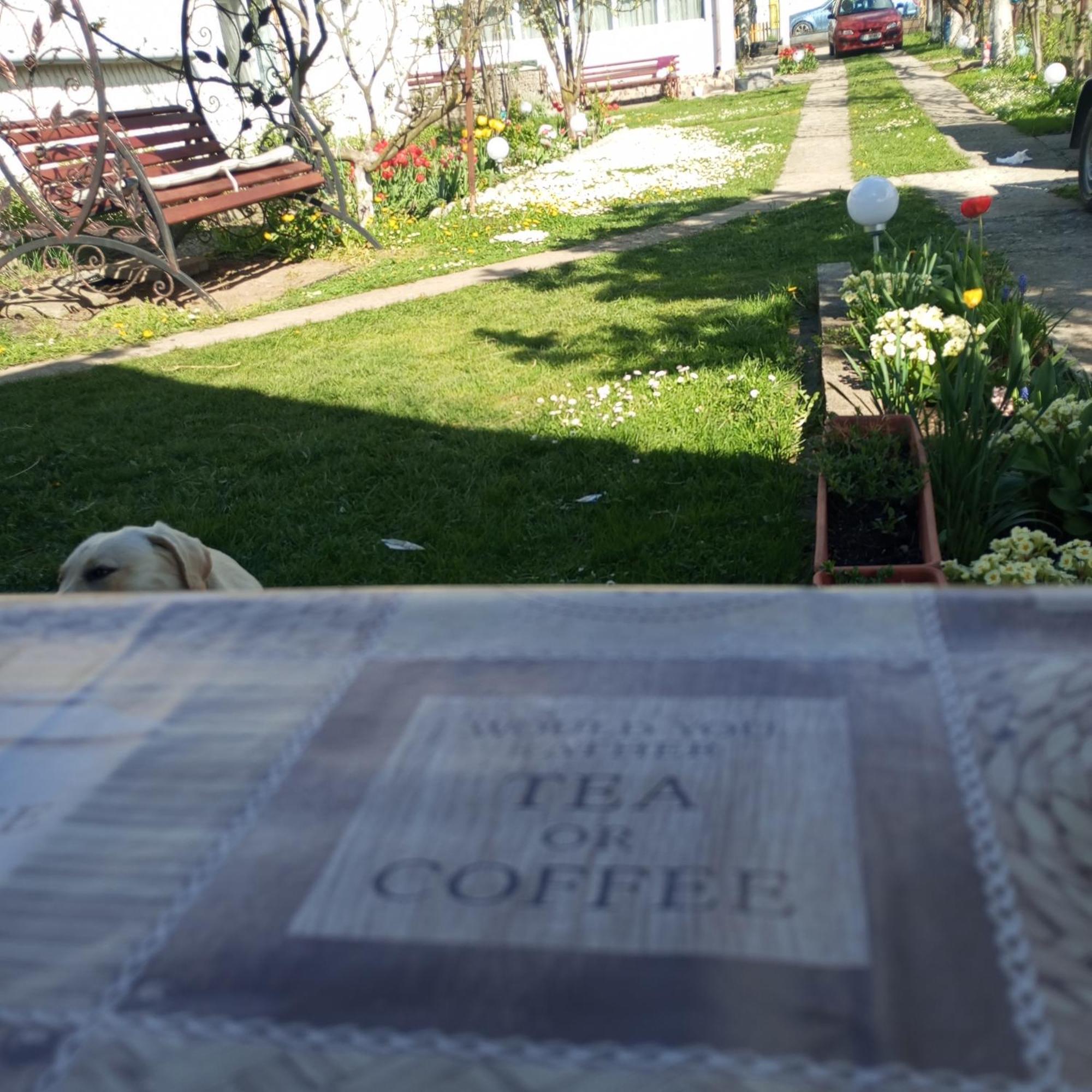 Casuta Bunicilor Villa Dorna Cindrenilor Bagian luar foto